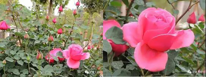 微信圖片_20200831154425.jpg